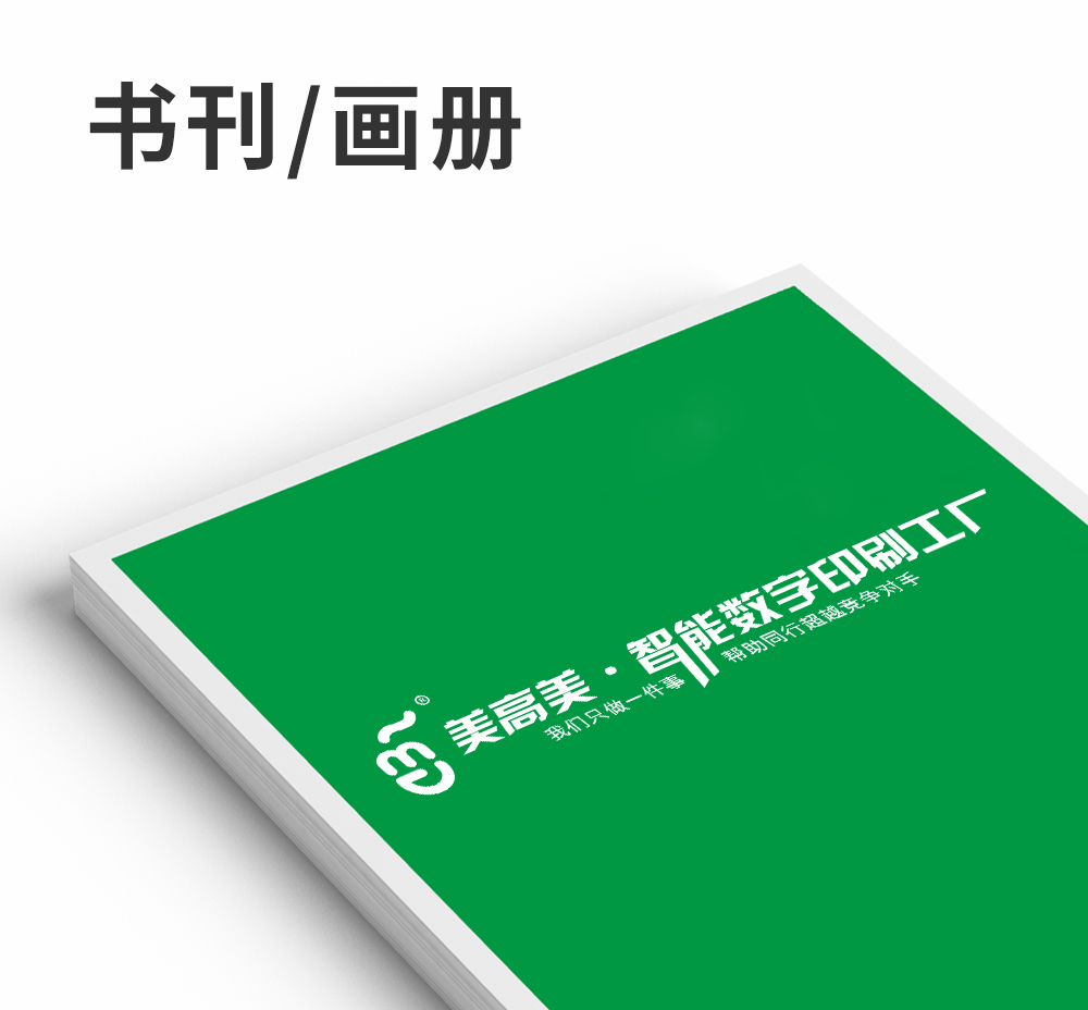 書(shū)刊/畫(huà)冊(cè)